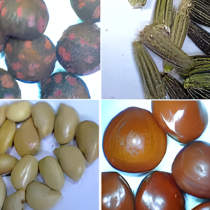 Medicinal Plant Seeds